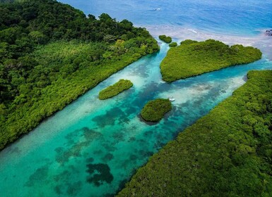 Portobelo yang bersejarah & Venas Azules: Hari Pantai dan Sejarah
