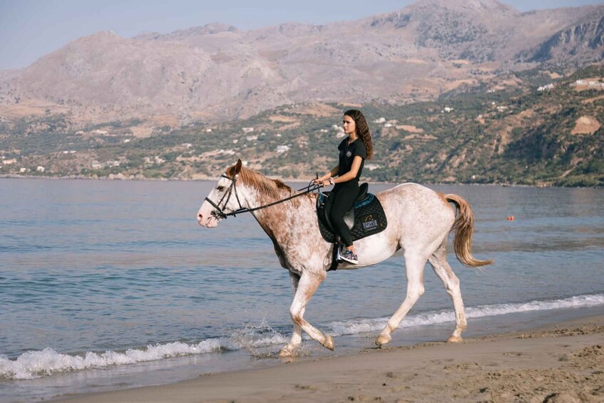 Picture 7 for Activity Crete Horse Riding: Plakias Beach Ride