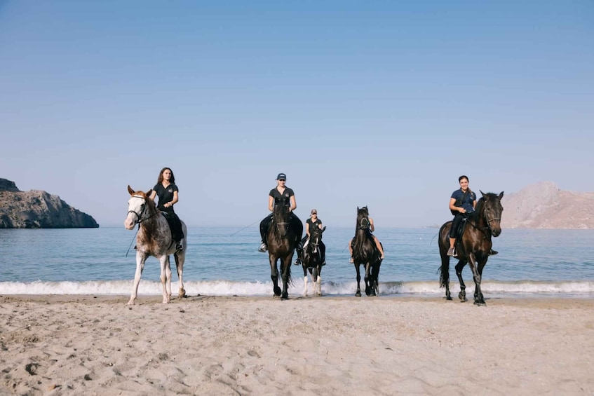 Plakias: Horse Riding Adventure on the Beach