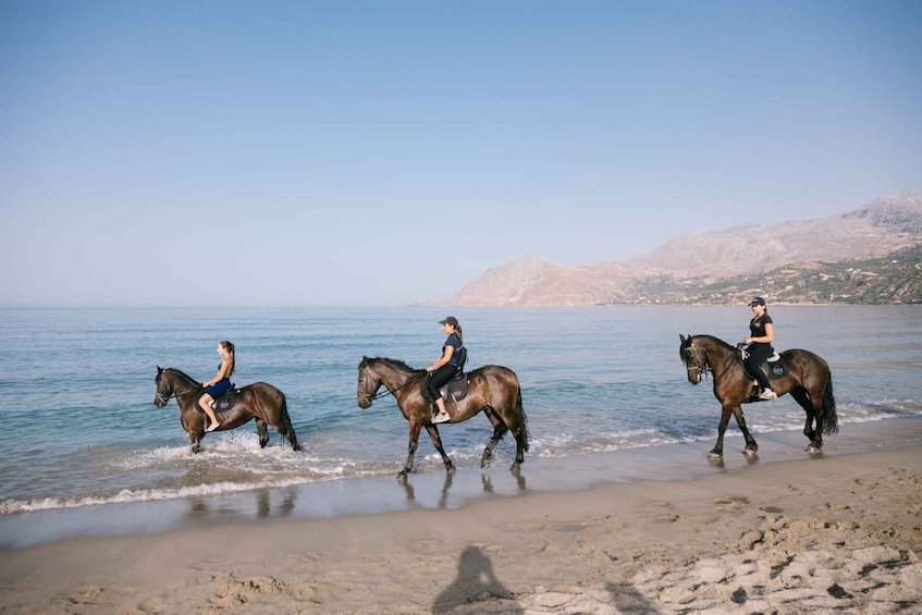 Picture 9 for Activity Crete Horse Riding: Plakias Beach Ride