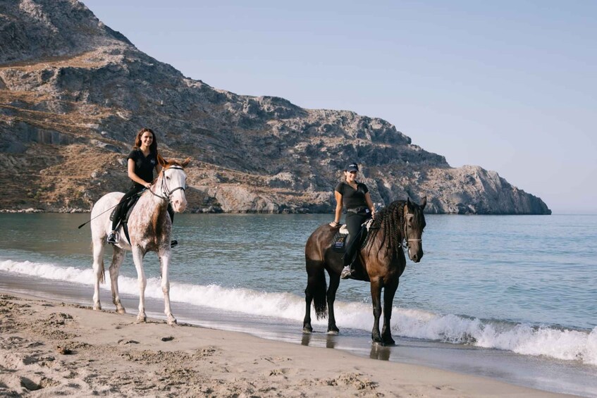 Picture 4 for Activity Crete Horse Riding: Plakias Beach Ride