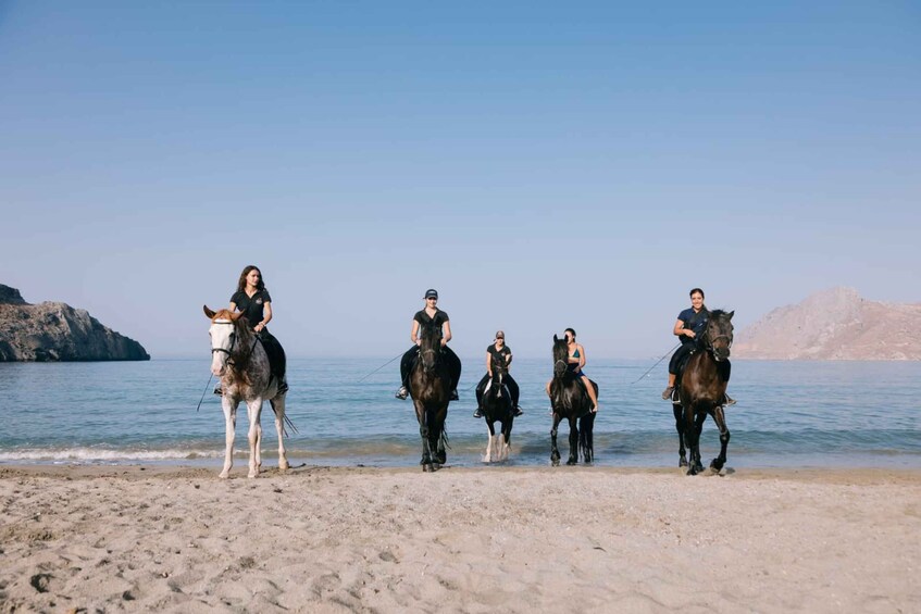 Picture 3 for Activity Crete Horse Riding: Plakias Beach Ride