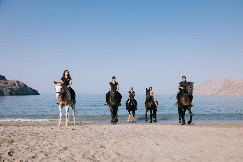 Picture 3 for Activity Crete Horse Riding: Plakias Beach Ride
