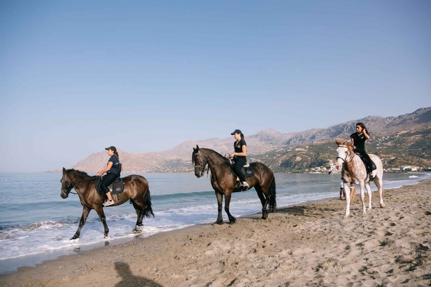 Picture 13 for Activity Crete Horse Riding: Plakias Beach Ride