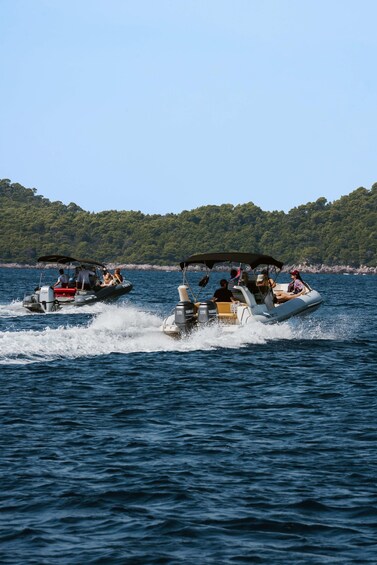 Picture 2 for Activity Dubrovnik: Half-day Elafiti Island & Blue Cave Boat Tour