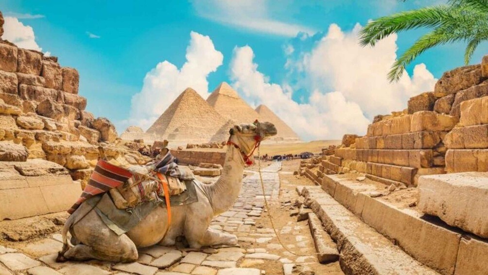 Picture 10 for Activity Cairo: Pyramids & Great Sphinx Private Tour with Camel Ride