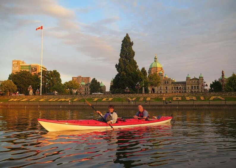 Picture 5 for Activity Victoria: Kayak Harbour Tour