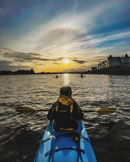 Picture 4 for Activity Victoria: Kayak Harbour Tour