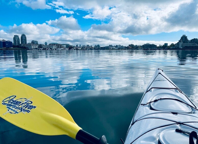 Victoria: Kayak Harbour Tour