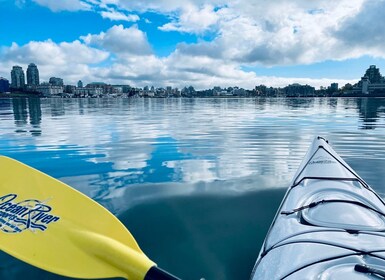 Victoria : Kayak Harbour excursion