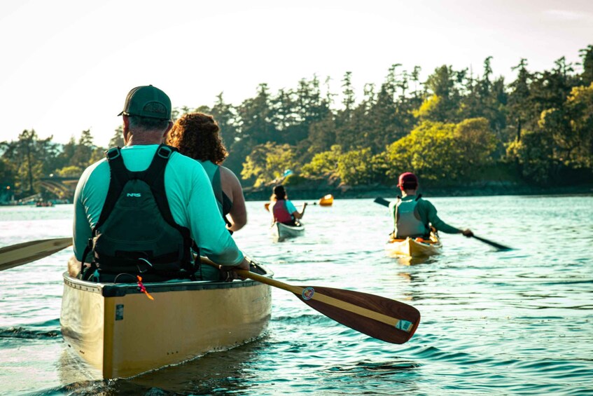 Picture 3 for Activity Victoria: Kayak Harbour Tour