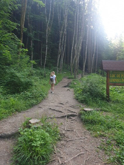 Picture 1 for Activity From Brasov : Hiking in Piatra Craiului National Park