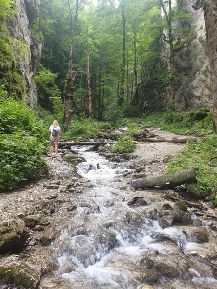 Picture 2 for Activity From Brasov : Hiking in Piatra Craiului National Park