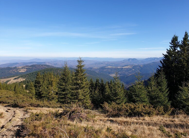 Picture 9 for Activity From Brasov : Hiking in Piatra Craiului National Park