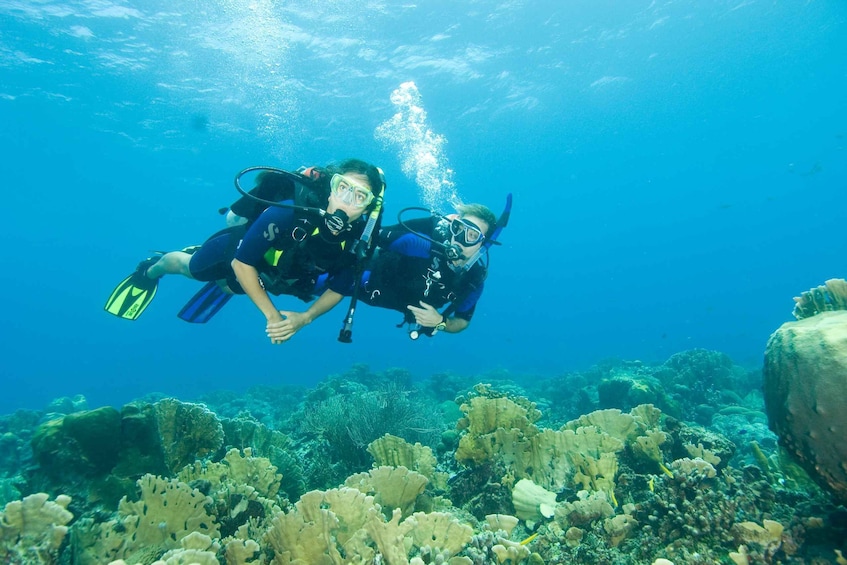 Picture 7 for Activity Tayrona National Park: Scuba Diving Tour for Beginners