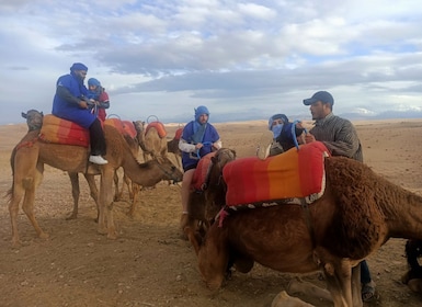 Quad- og kameltur i Agafay-ørkenen med middag