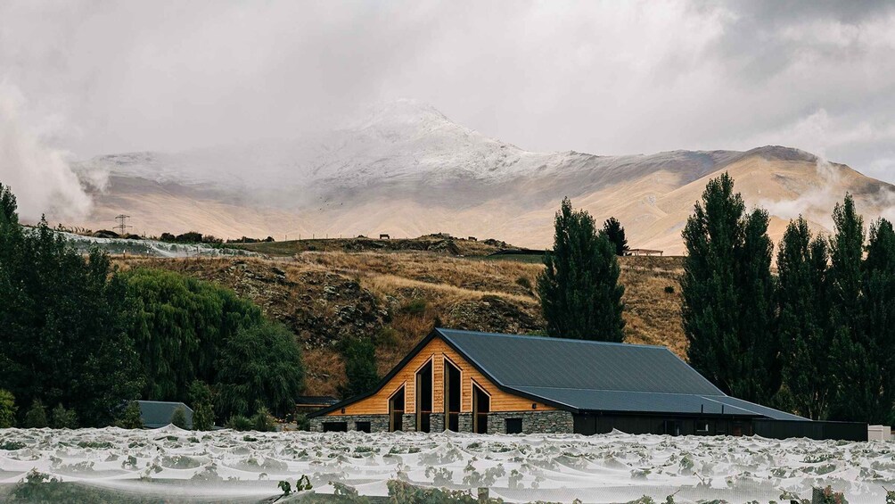 Picture 3 for Activity Queenstown: Classic Central Otago Wine Tasting Experience