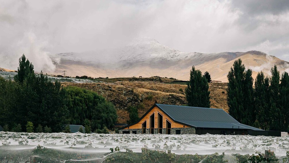 Picture 3 for Activity Queenstown: Classic Central Otago Wine Tasting Experience