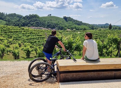 Valdobbiadene: Guided E-Bike Tour in Prosecco Hills