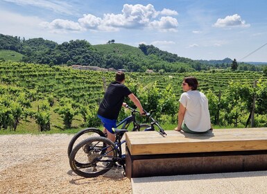 Valdobbiadene：普羅塞克山的引導電動自行車遊覽