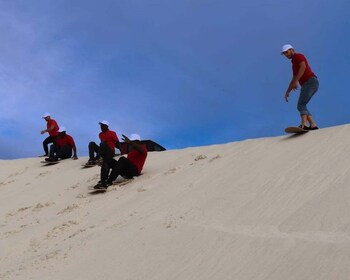 CAPE TOWN: ULTIMATE SANDBOARDING ATLANTIS DUNES WITH WILDX