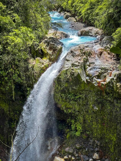 Picture 16 for Activity Explore Rincon de la Vieja Rainforest on Horseback Riding