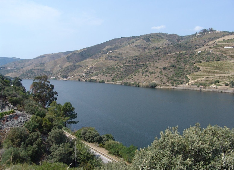 Picture 5 for Activity Douro Valley Day-Trip Privat Visit Wine Meals Boat all/incl