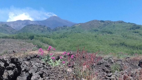 Puesta de sol del Etna y vino Etna Doc