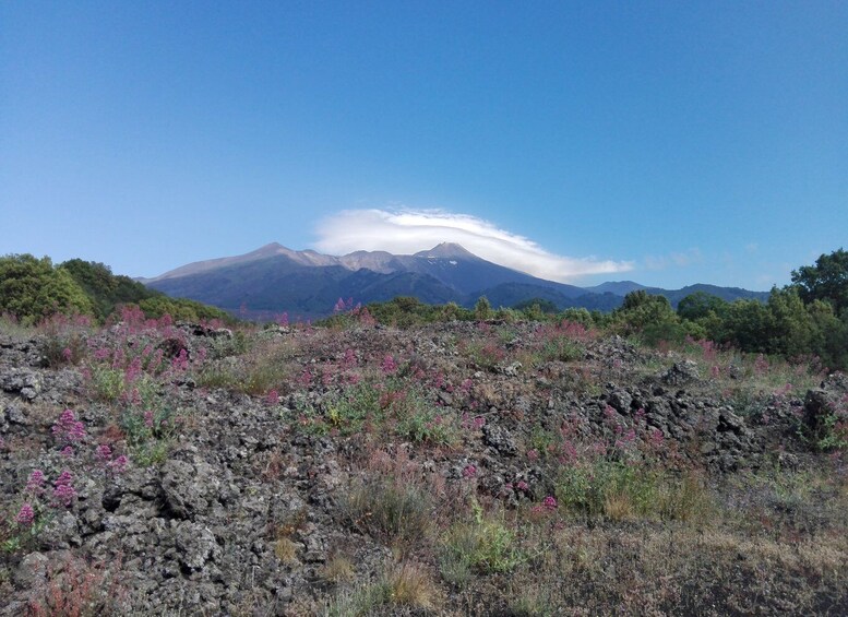 Picture 1 for Activity Catania: Mount Etna Sunset Tour and Etna Doc Wine