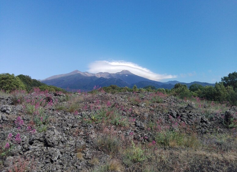 Picture 1 for Activity Catania: Mount Etna Sunset Tour and Etna Doc Wine