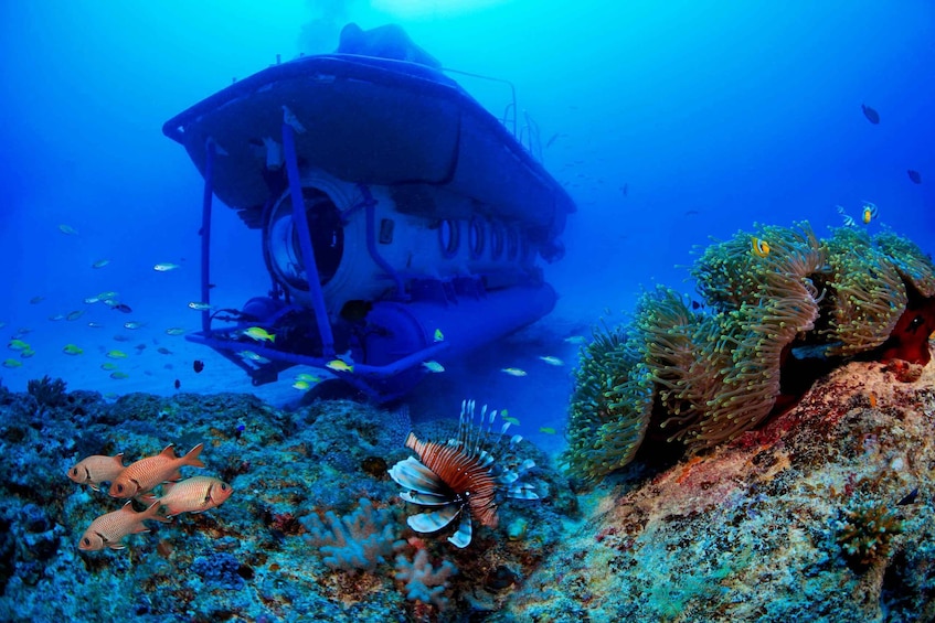 Trou-aux-Biches: Submarine Tour to the Star Hope Wreck