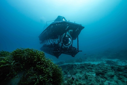 Trou-aux-Biches: recorrido submarino hasta el naufragio Star Hope