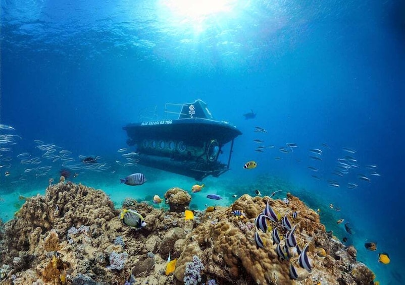 Picture 6 for Activity Trou-aux-Biches: Submarine Tour to the Star Hope Wreck