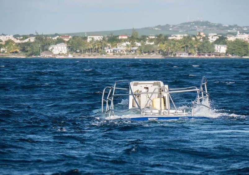 Picture 11 for Activity Trou-aux-Biches: Submarine Tour to the Star Hope Wreck