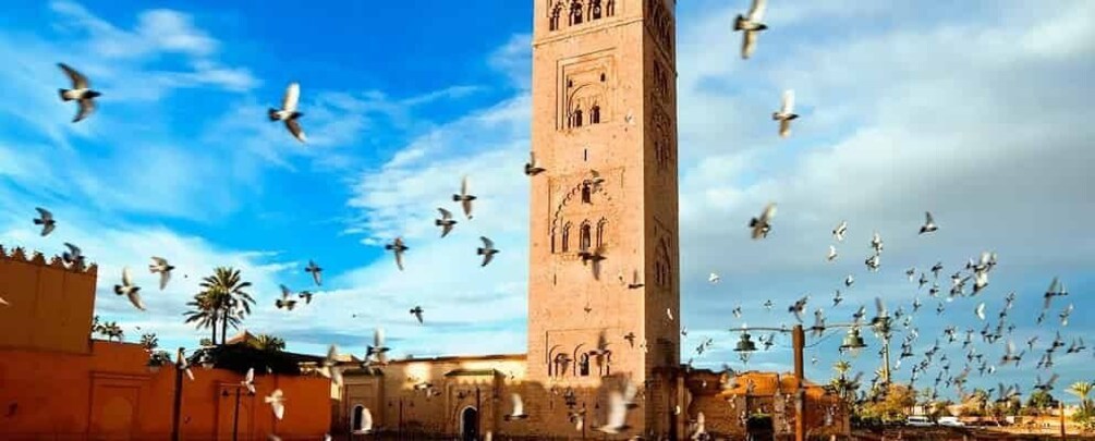 Marrakech: Half-Day Guided City Tour