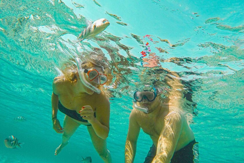 Picture 6 for Activity Curacao Private Tour Deluxe Half Day All Inclusive