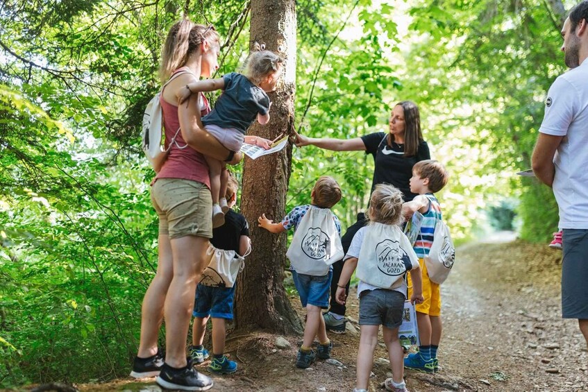 Picture 1 for Activity Enchanted forest Family Avdenture in Lake Bled