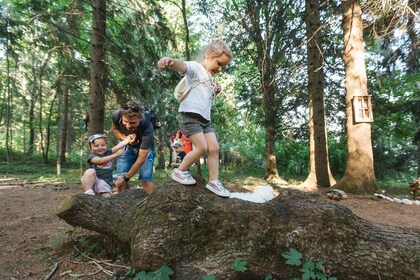 Aventura familiar en el bosque encantado en el lago Bled