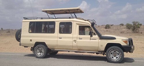 Desde los hoteles de Coast Beach: safari privado de 2 días en Tsavo East