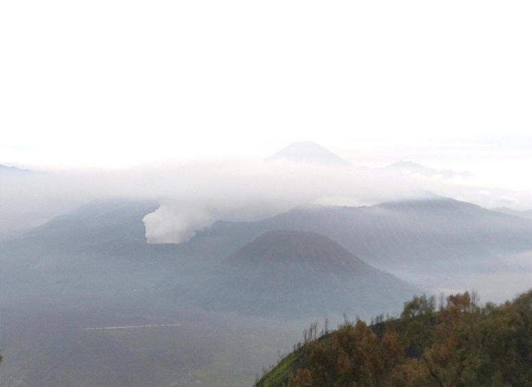 Picture 6 for Activity From Surabaya : Bromo Ijen Tour in 3 days (Private tour)
