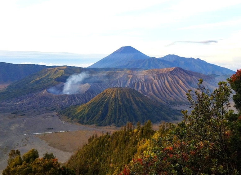 Picture 2 for Activity From Surabaya : Bromo Ijen Tour 3 day 2 Night