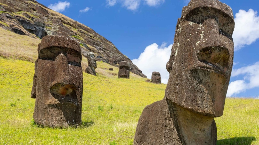 Picture 16 for Activity The Moai Factory: The mystery behind the volcanic stone stat