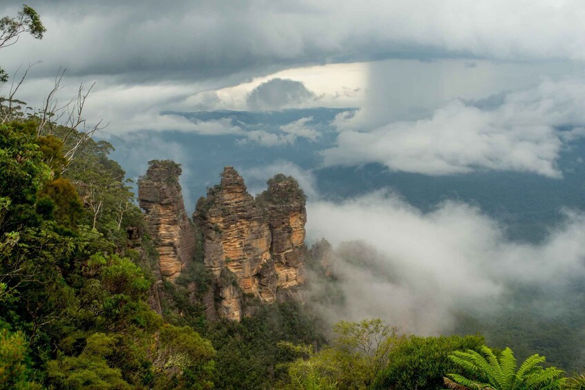 PRIVATE All Inclusive Blue Mountains & Scenic World Tour