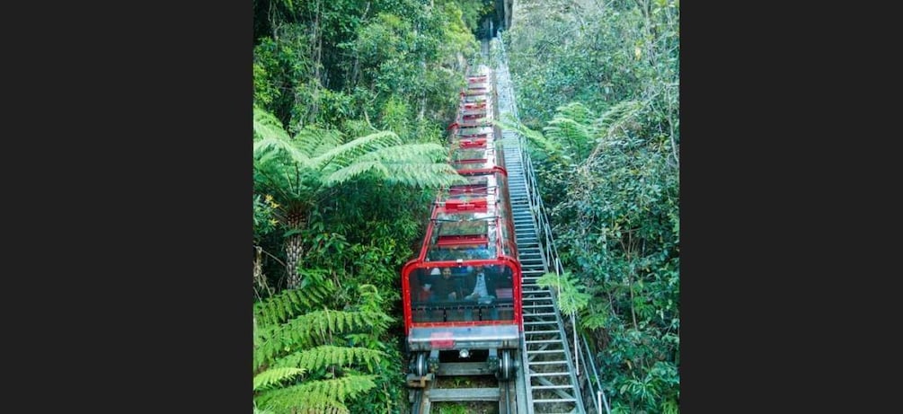 Picture 4 for Activity PRIVATE All Inclusive Blue Mountains & Scenic World Tour