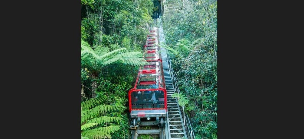 Picture 5 for Activity PRIVATE Blue Mountains & Scenic World Tour - All Inclusive