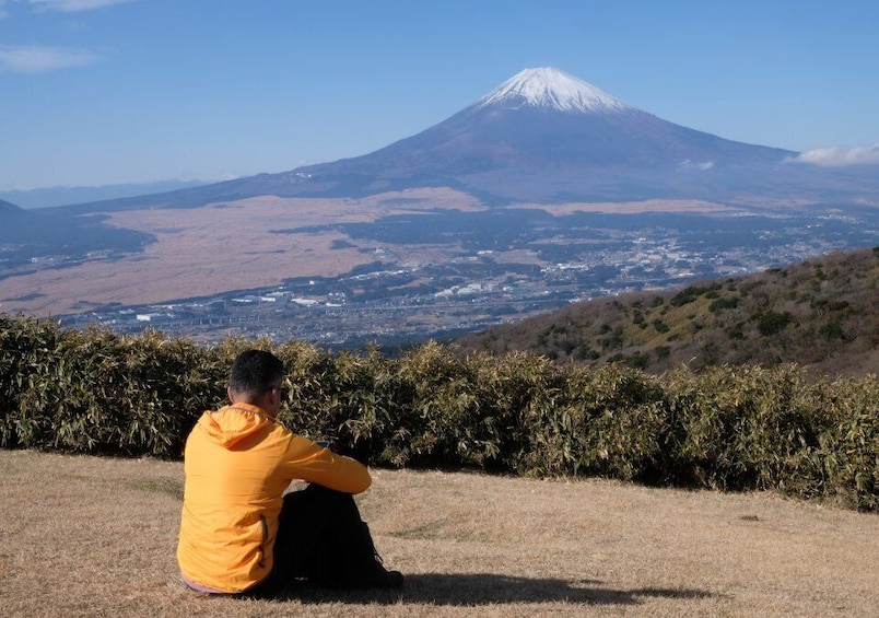 Picture 2 for Activity Hakone: Traverse the Hakone Caldera and Enjoy Onsen