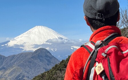 Hakone: Die Caldera von Hakone durchqueren und Onsen genießen