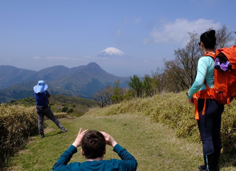 Picture 5 for Activity Hakone: Traverse the Hakone Caldera and Enjoy Onsen