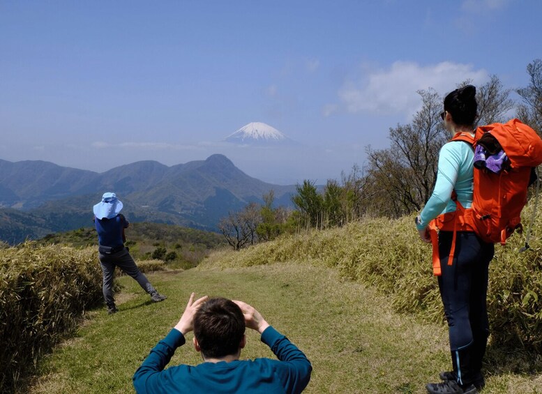 Picture 5 for Activity Hakone: Traverse the Hakone Caldera and Enjoy Onsen