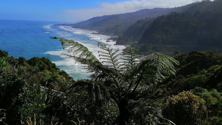 From Greymouth: Highlights West Coast Day Tour